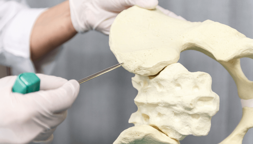 Medical Provider Examines Pelvic Bone